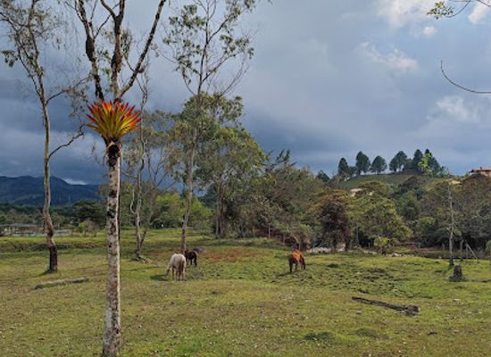 colombia/guatape/attraction/calderitas-paola