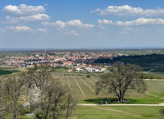 czechia/palava/attraction/kolonada-reistna