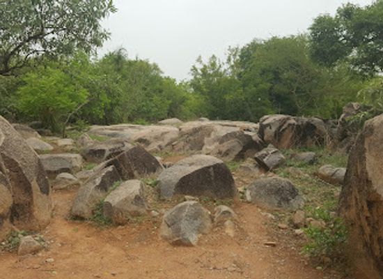 burkina-faso/dedougou/attraction/sculptures-de-laongo