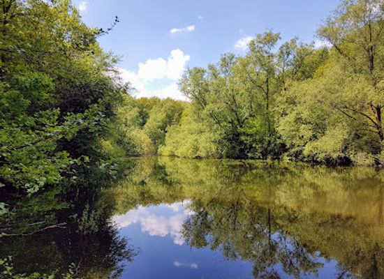 germany/ruhr/attraction/oberes-oelbachtal