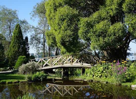 finland/tampere/attraction/hatanpaa-park-arboretum