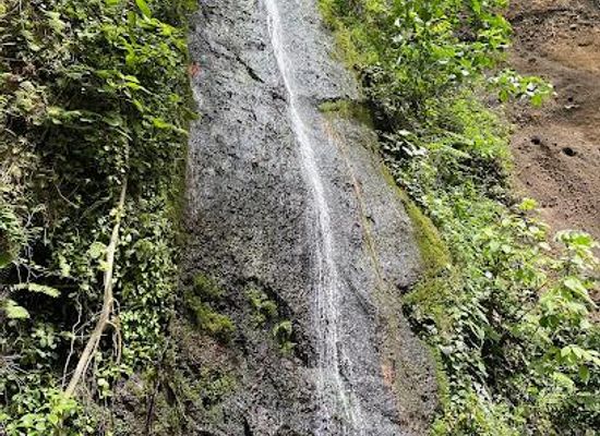 nicaragua/masaya-lowlands/attraction/reserva-natural-el-chocoyero-y-el-brujo