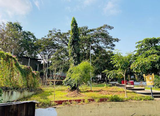 sierra-leone/john-obey-beach/attraction/freetown-amusement-park-victoria-park