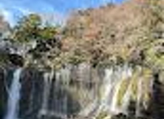 japan/hakone/attraction/shiraito-falls