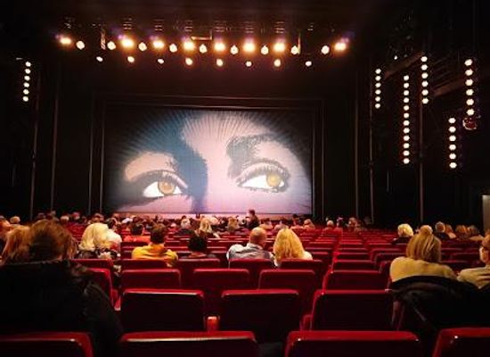 germany/hamburg/attraction/operettenhaus
