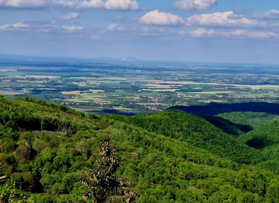 croatia/podravina/attraction/meda