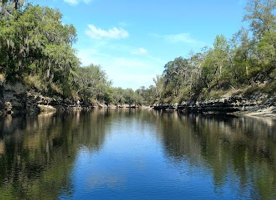 florida/suwannee-river/attraction/woods-ferry-conservation-area