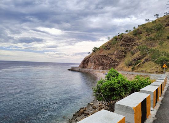 timor-leste/manatuto/attraction/one-tree