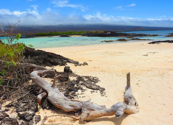 ecuador/galapagos-islands/attraction/cerro-brujo