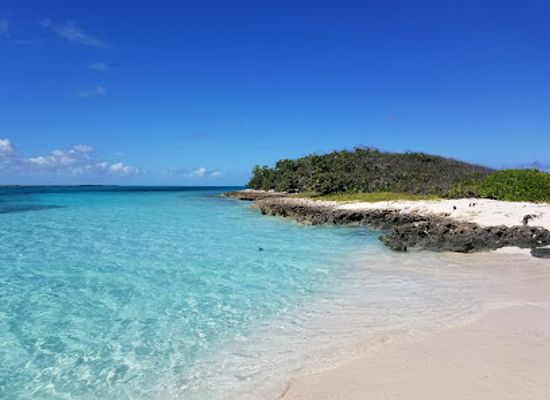the-bahamas/andros-town/attraction/andros-south-marine-park