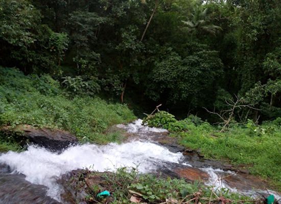 india/kerala/attraction/thonippara-waterfalls