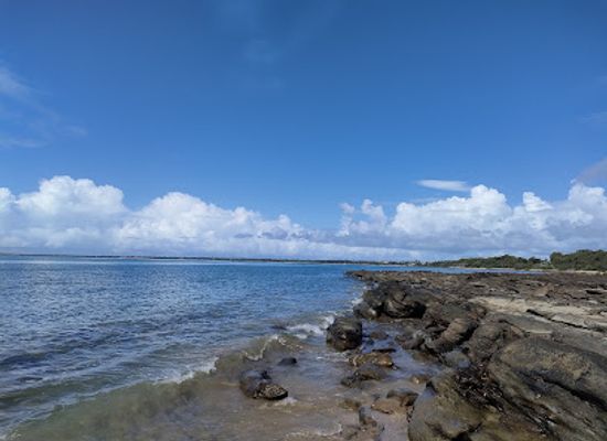 australia/fraser-coast/attraction/sandy-white-memorial-park