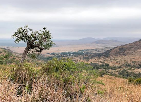 south-africa/highveld/attraction/suikerbosrand-nature-reserve