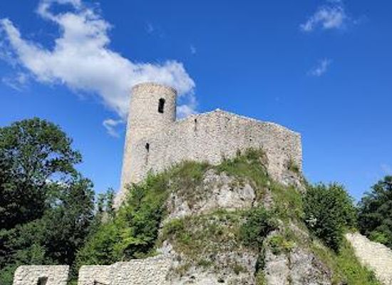 poland/silesia/attraction/pilcza-castle