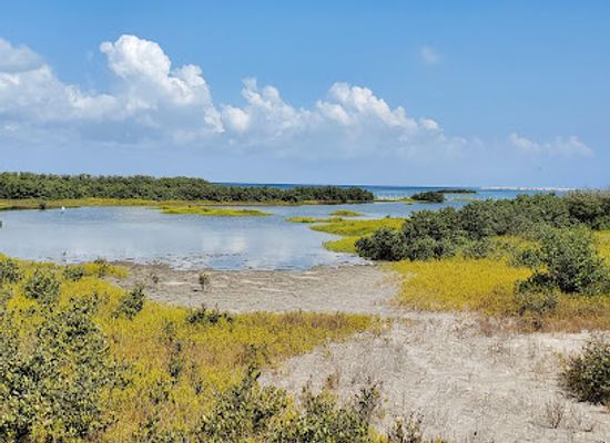 texas/south-padre-island/attraction/laguna-madre-nature-trail