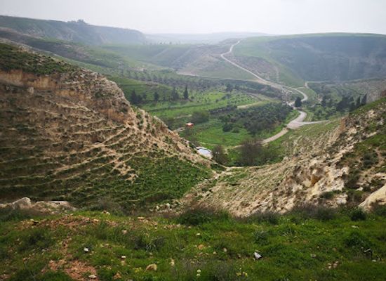 jordan/ajloun-forest-reserve/attraction/wadi-alshallala