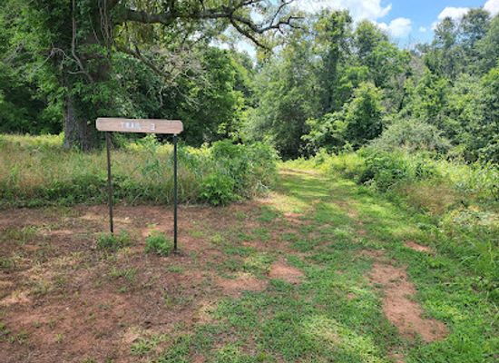 texas/piney-woods/attraction/caddo-mounds-state-historic-site