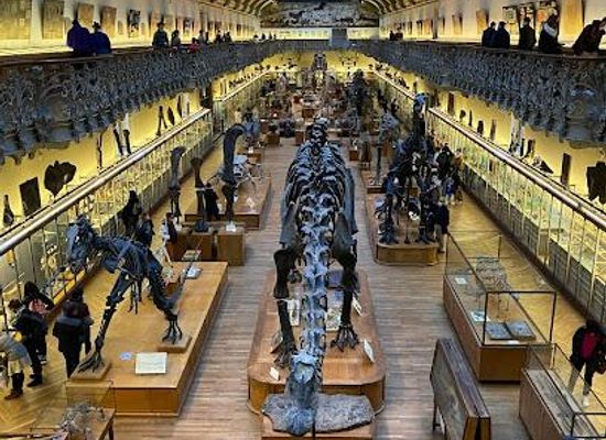 france/ile-de-france/attraction/national-museum-of-natural-history