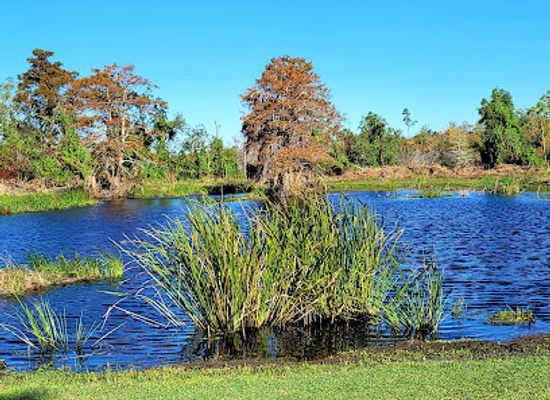 louisiana/northshore/attraction/fontainebleau-state-park