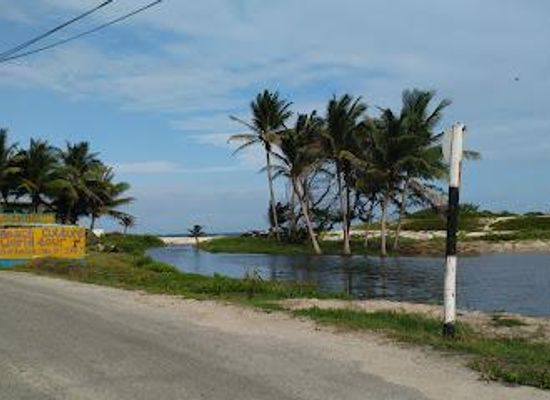 barbados/st-lawrence-gap/attraction/silver-sands