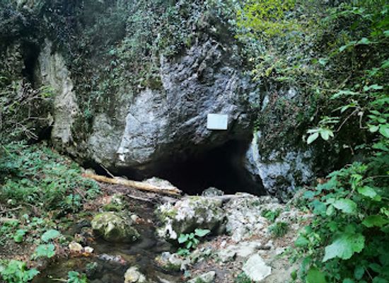 romania/caras-severin/attraction/pestera-buhui