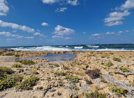 cyprus/kato-paphos/attraction/klodi-s-gate