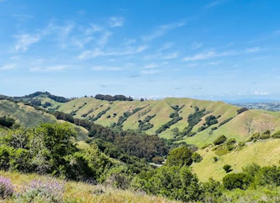 california/oakland/attraction/sibley-volcanic-regional-preserve