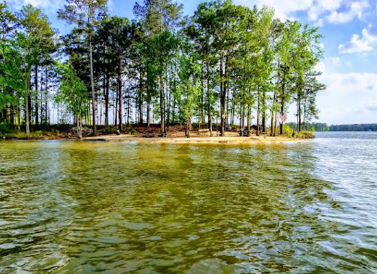 alabama/piney-woods/attraction/pineywood-island