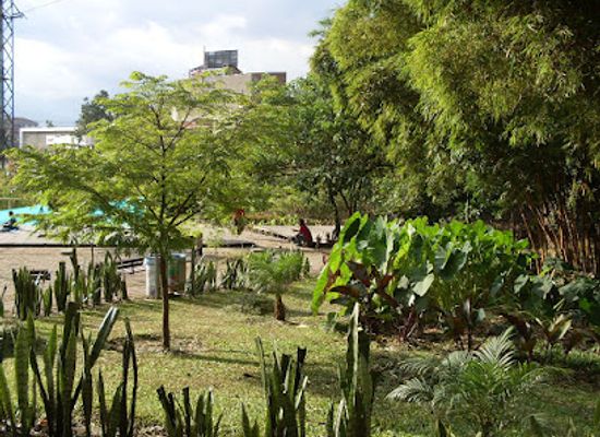 colombia/los-llanos/attraction/presidenta-park