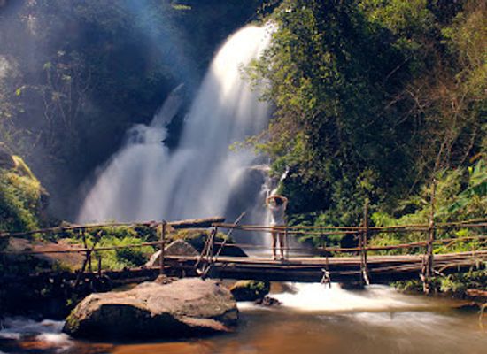 thailand/doi-inthanon/attraction/pha-dok-sieo-nature-trail
