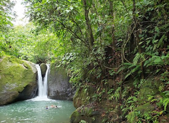 costa-rica/brunca-region/attraction/cascada-el-pavon