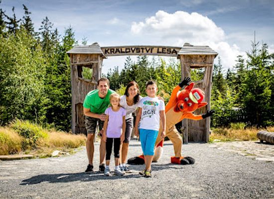 czechia/south-bohemia/attraction/kralovstvi-lesa-lipno