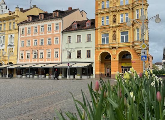 czechia/ceske-budejovice/attraction/palac-vcela