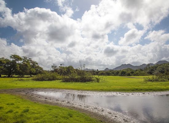 belize/toledo-district/attraction/agua-caliente-luha-wild-life-sanctuary