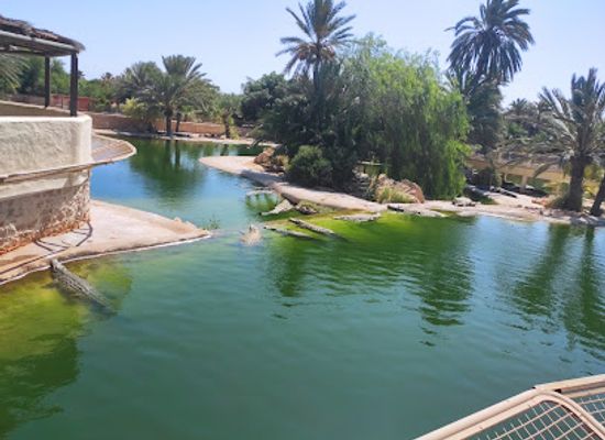 tunisia/the-djerid/attraction/zoo-of-sahara