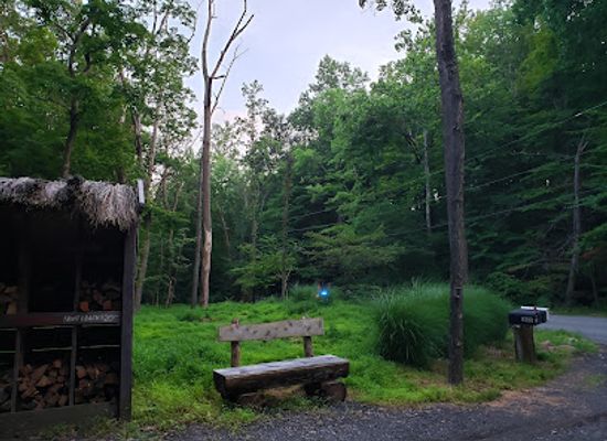 new-jersey/skylands-region/attraction/devil-s-tree