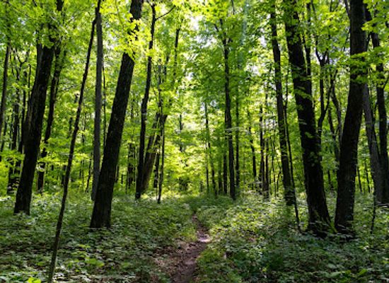 wisconsin/ice-age-trail/attraction/baxter-s-hollow