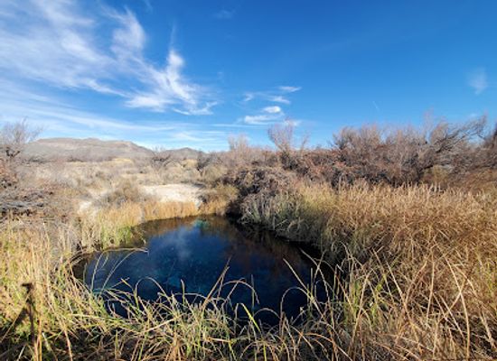 nevada/lake-mead-national-recreation-area/attraction/ash-meadows-national-wildlife-refuge