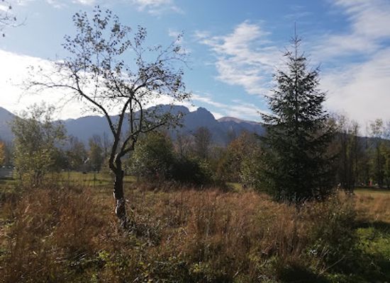 poland/tatra-mountains/attraction/iluzja-park-zakopane