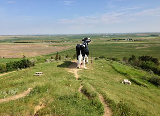 north-dakota/drift-prairie/attraction/salem-sue