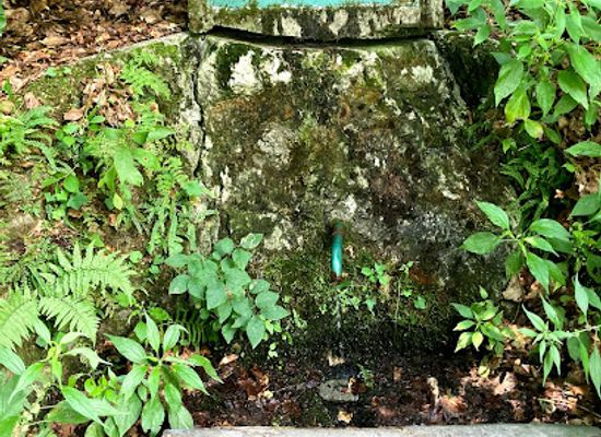 hungary/miskolc/attraction/hajnalka-forras
