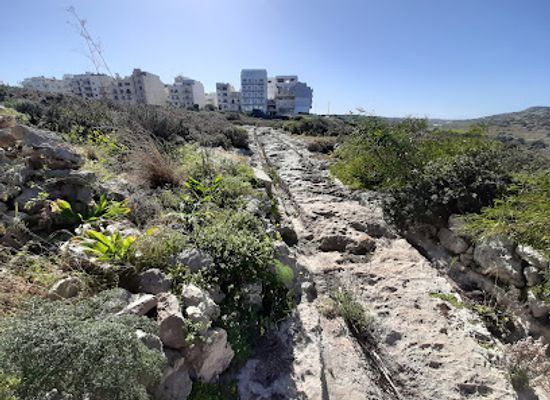 malta/qawra/attraction/cart-ruts