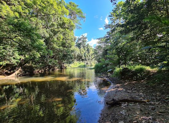 australia/cairns/attraction/goomboora-park