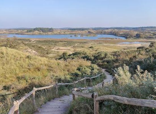 netherlands/the-hague/attraction/zuid-kennemerland-national-park