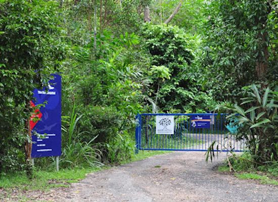 australia/atherton-tablelands/attraction/tolga-bat-hospital-bookings-essential