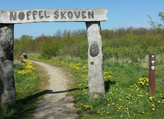 denmark/south-jutland/attraction/noffelskoven-med-traskulpturer