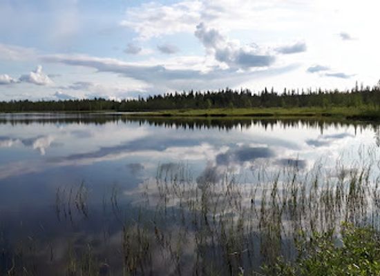 finland/north-ostrobothnia/attraction/syote-national-park