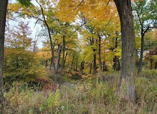 illinois/northeastern-illinois/attraction/highland-park