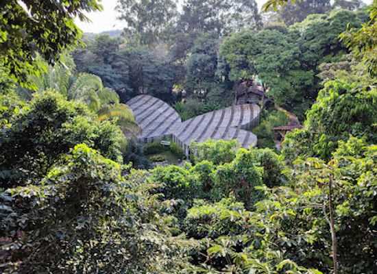 colombia/coffee-axis/attraction/quindio-botanical-garden