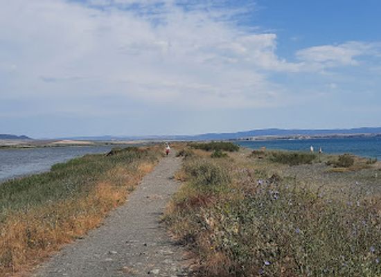 bulgaria/pomorie/attraction/pomorie-sandbar